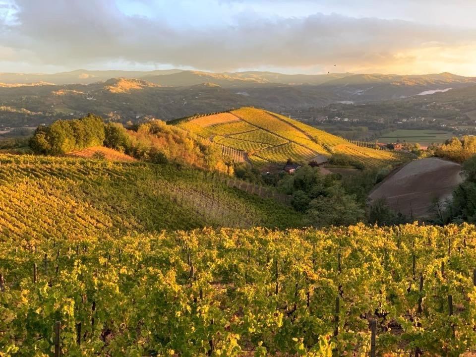 Cascina Marcantonio Аккуї-Терме Екстер'єр фото