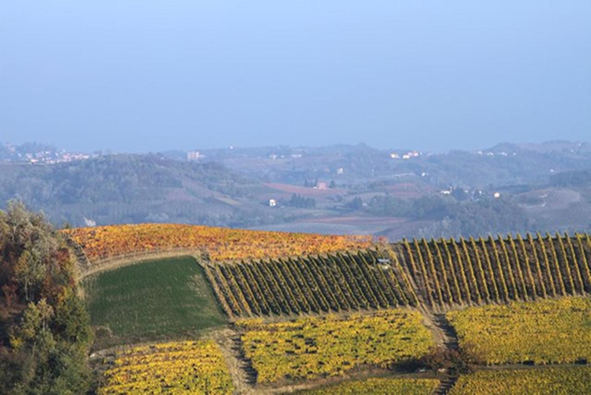 Cascina Marcantonio Аккуї-Терме Екстер'єр фото